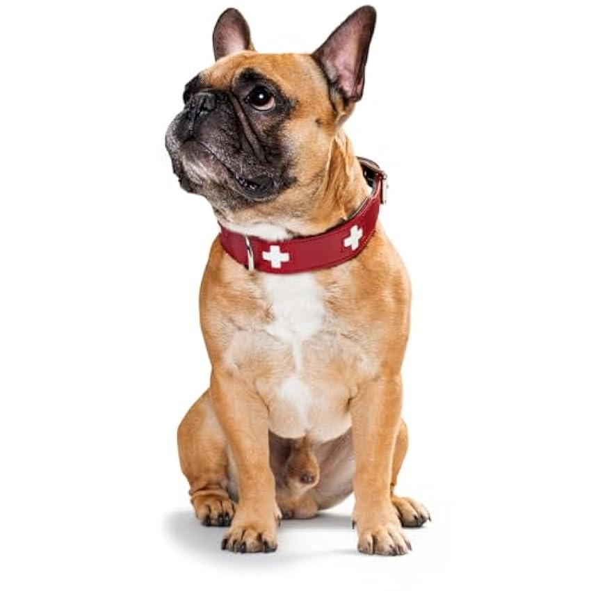 Collar de perro HUNTER Suiza, cuero, 65, rojo / negro cCovePxN